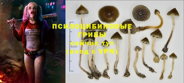 крисы Алексин