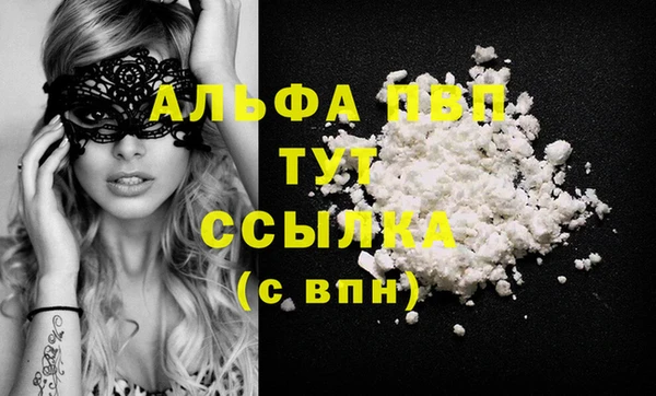 крисы Алексин