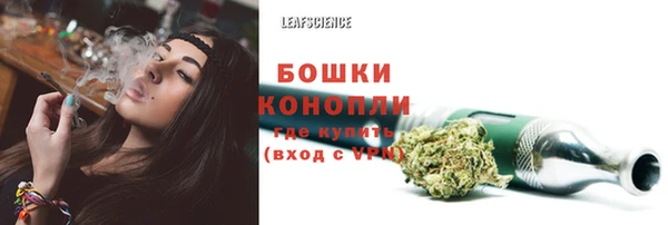 каннабис Аркадак