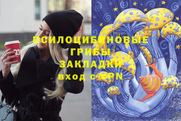соль ск Арсеньев